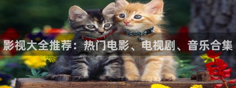 欧美影院另类：影视大全推荐：热门电影、电视剧、音乐合集