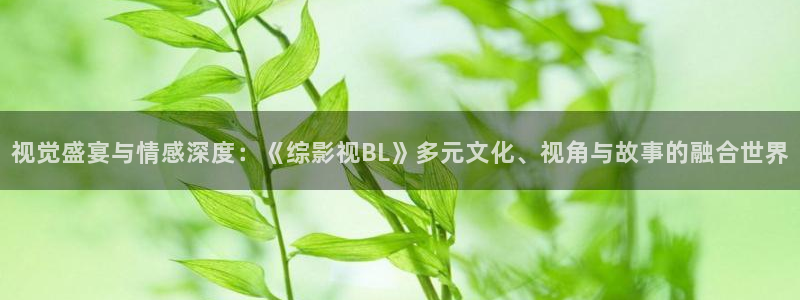 在线欧美影院：视觉盛宴与情感深度：《综影视BL》多元文化、视角与故事的融合世界