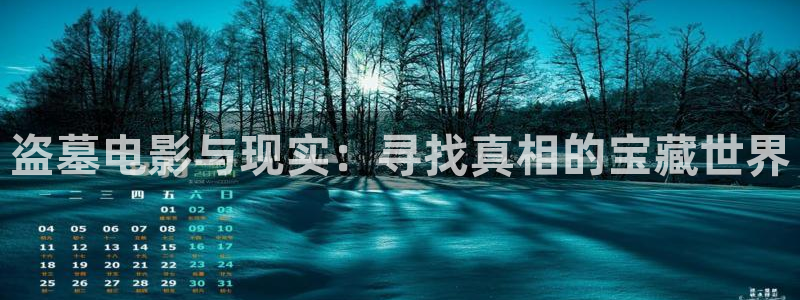 华数欧美影院：盗墓电影与现实：寻找真相的宝藏世界