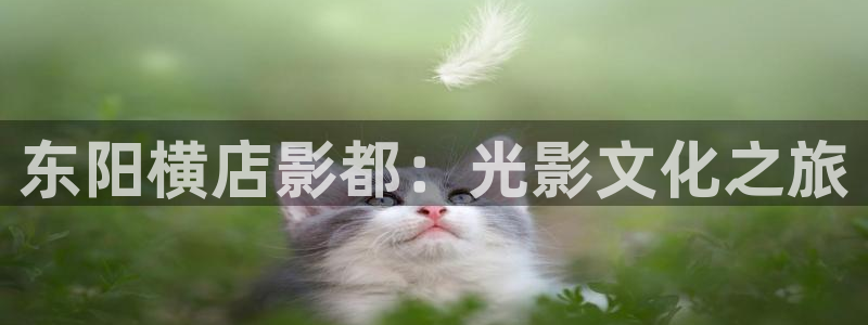 优优色欧美影院首页：东阳横店影都：光影文化之旅