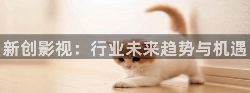 欧美影院.：新创影视：行业未来趋势与机遇