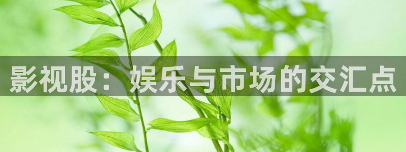 xo欧美影院：影视股：娱乐与市场的交汇点